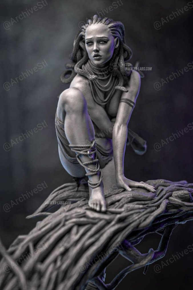 美杜莎(Medusa) 3D打印图纸